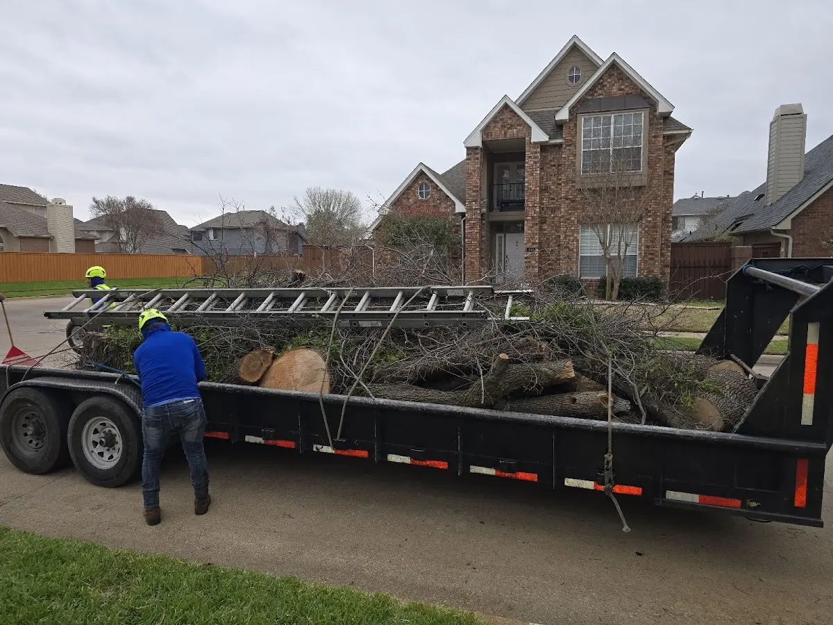 Expert Tree Fertilization with proper safety equipment in Pine Grove